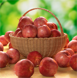 APPLES VOL3